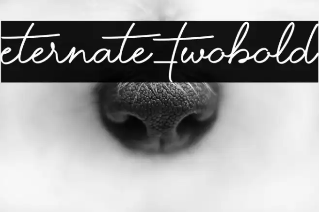 Eternate-TwoBold Example 2