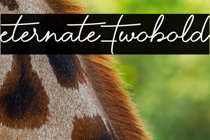 Eternate-TwoBold Example 3