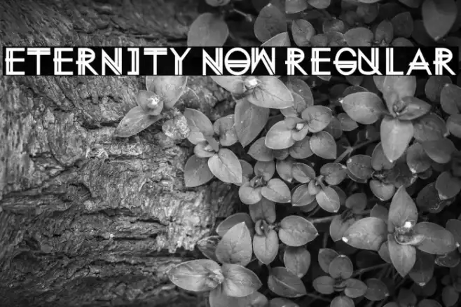 Eternity Now Regular Example 2
