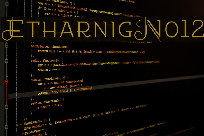 EtharnigNo12 Example 2