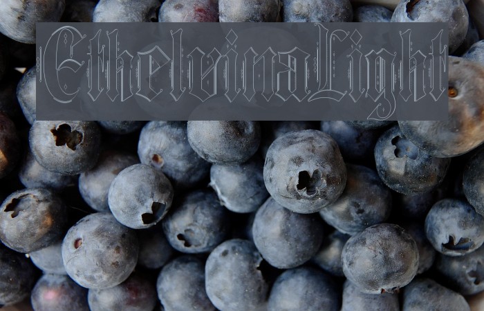 Ethelvina_Light Font examples
