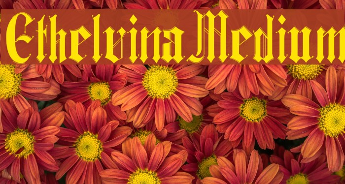 Ethelvina_Medium Font examples