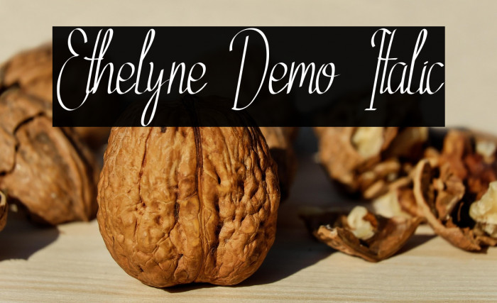 Ethelyne Demo Italic Example 3