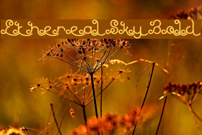 Ethereal Sky Bold Font examples
