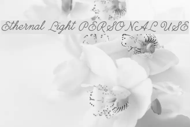 Ethernal Light PERSONAL USE フォント examples