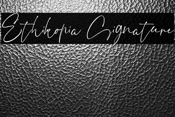 Ethikopia Signature Example 1