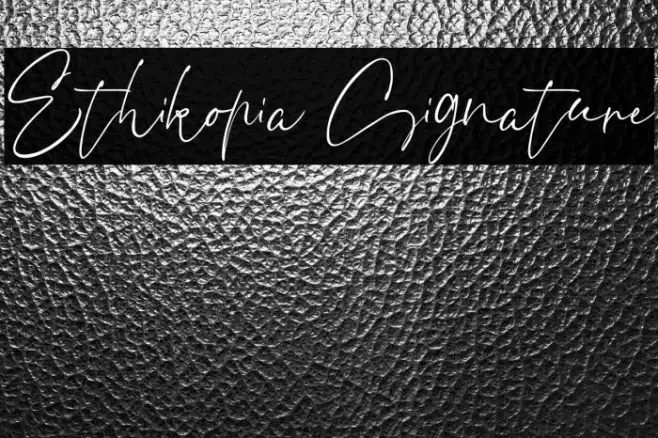 Ethikopia Signature Example 1