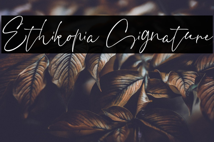 Ethikopia Signature Example 2