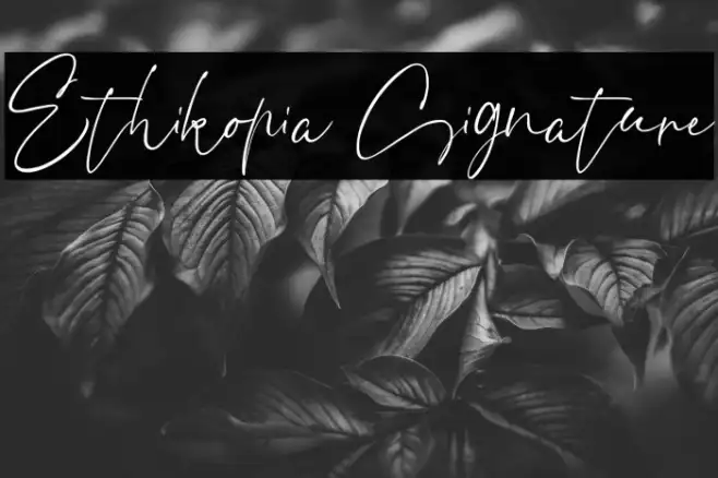 Ethikopia Signature Example 2