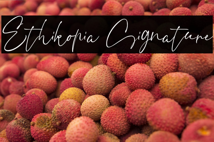 Ethikopia Signature Example 3