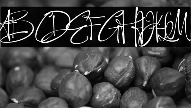 Ethiopia Demo Font examples