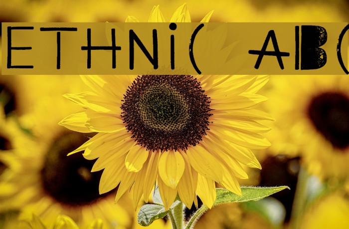 Ethnic ABC Example 1