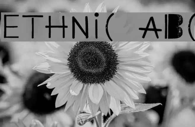 Ethnic ABC Font examples