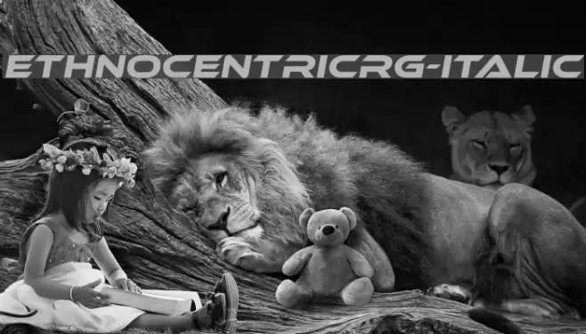 EthnocentricRg-Italic Font examples