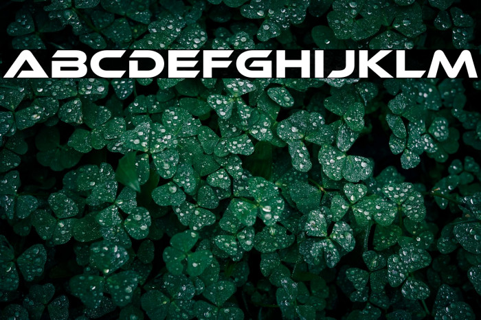 EthnocentricRg-Regular Example 3