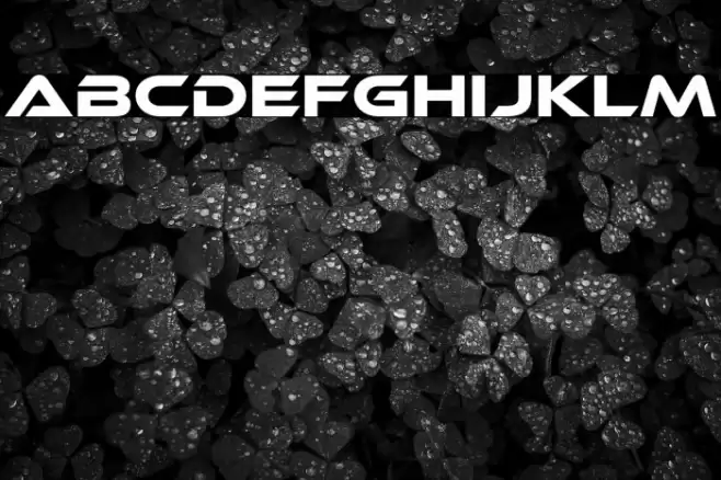 EthnocentricRg-Regular Font examples