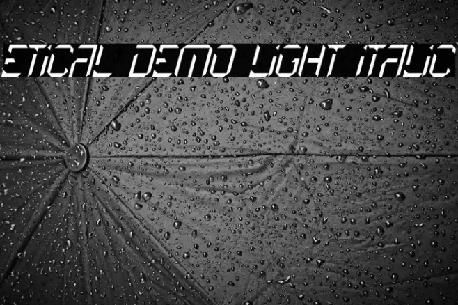 Etical Demo Light Italic Example 1