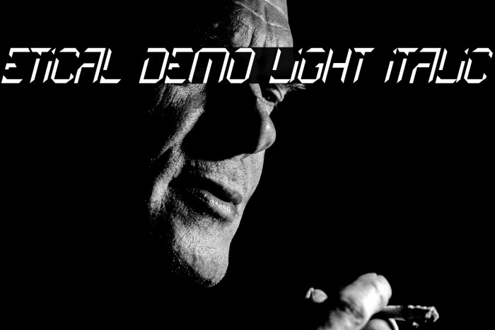 Etical Demo Light Italic Example 2