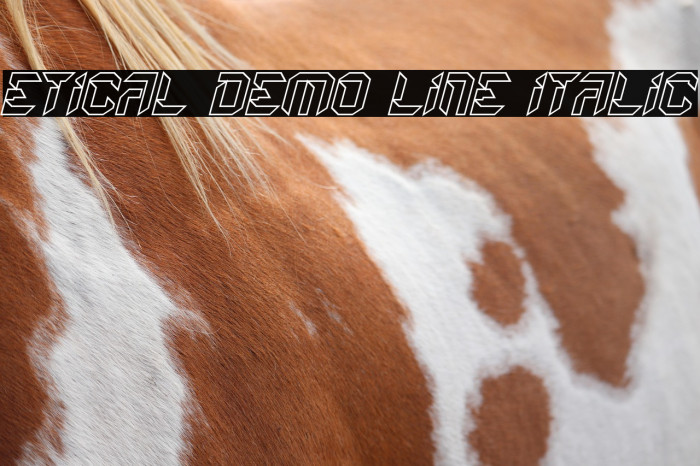 Etical Demo Line Italic Example 1