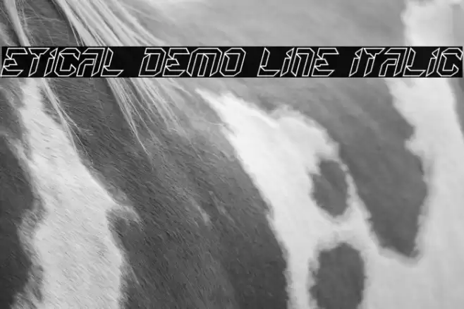 Etical Demo Line Italic 字体 examples