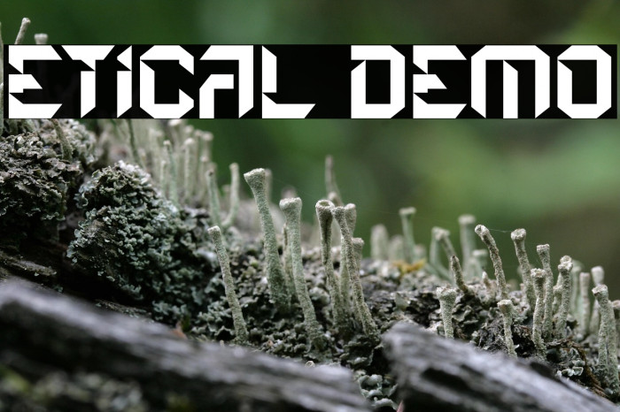 Etical Demo Example 1