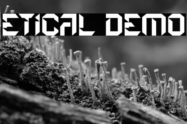 Etical Demo 字体 examples