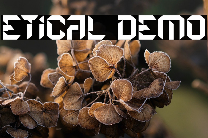 Etical Demo Example 3