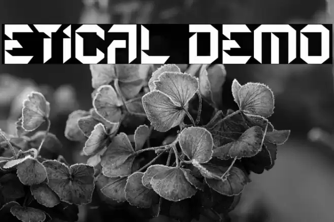 Etical Demo 字体 examples