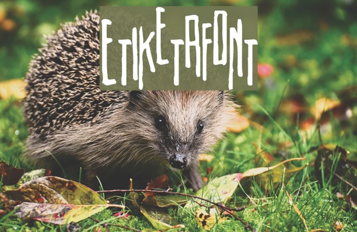 Etiketafont Font examples