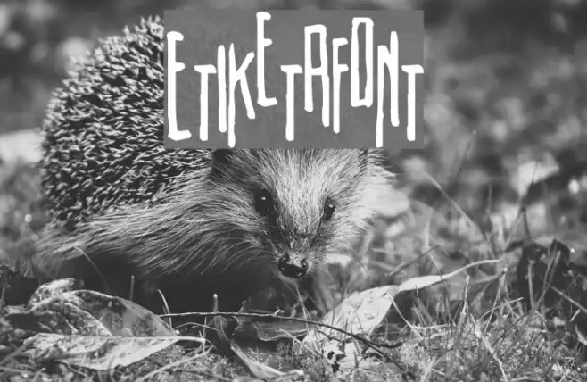 Etiketafont Example 1