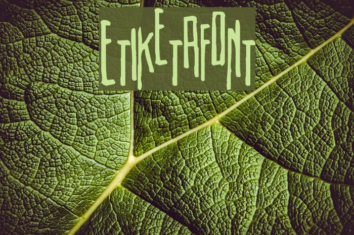 Etiketafont Font examples