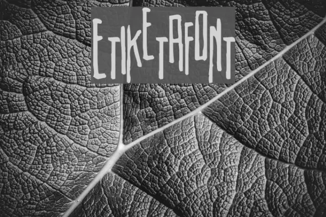 Etiketafont Example 3