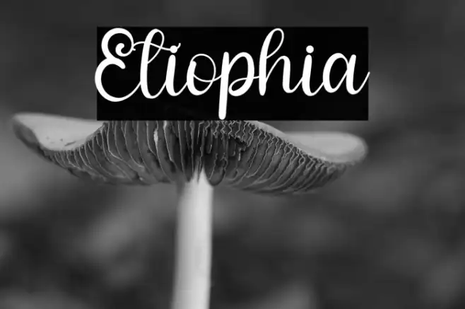 Etiophia Example 3