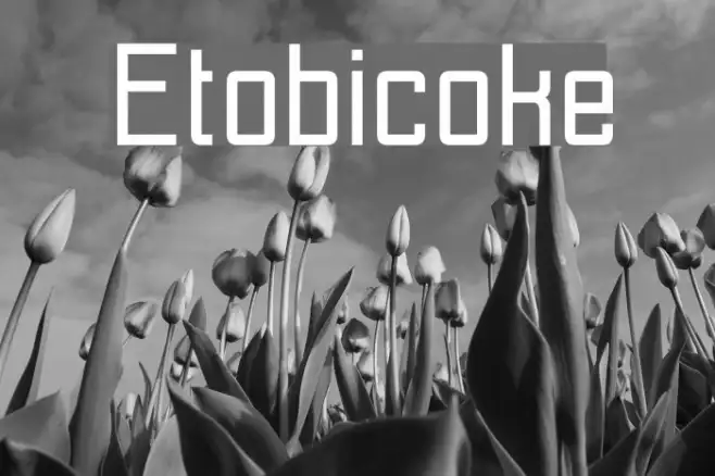 Etobicoke Example 3