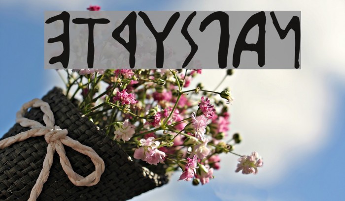 Etruscan Font examples
