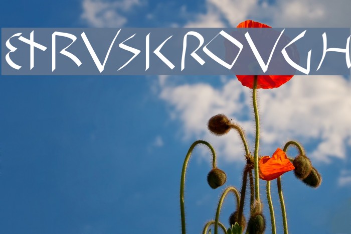 EtruskRough Font examples