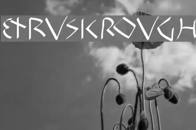 EtruskRough Example 3