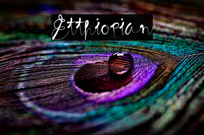 Etthiopian Example 1