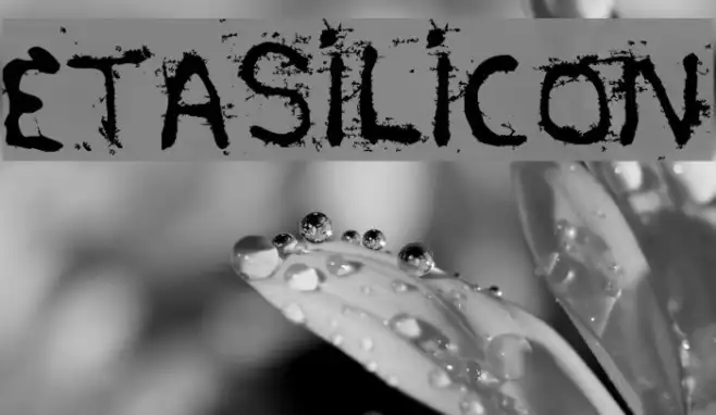 etasilicon Example 1