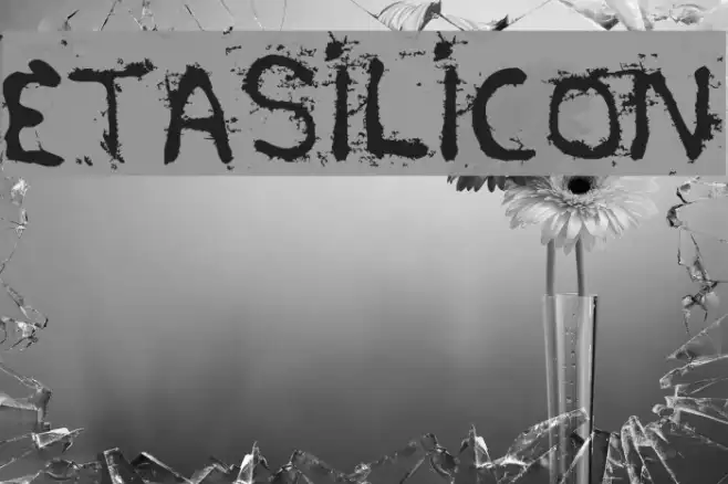 etasilicon Example 2