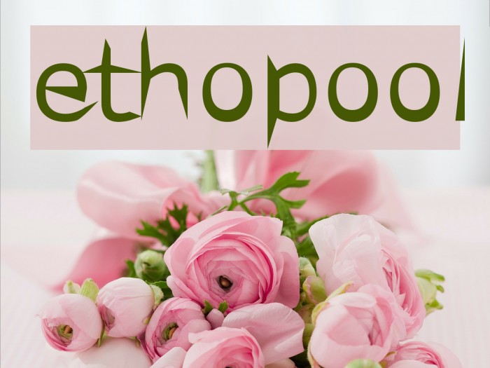 ethopool Font examples