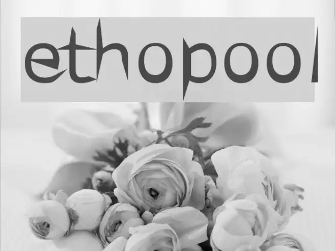ethopool Example 1