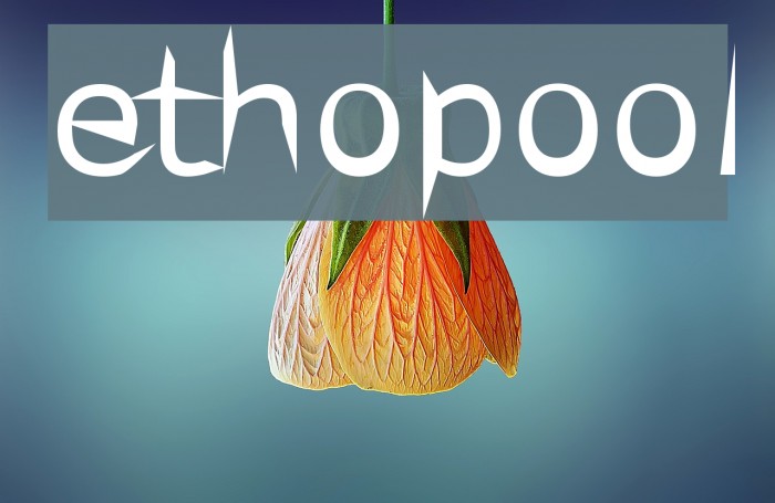 ethopool Font examples