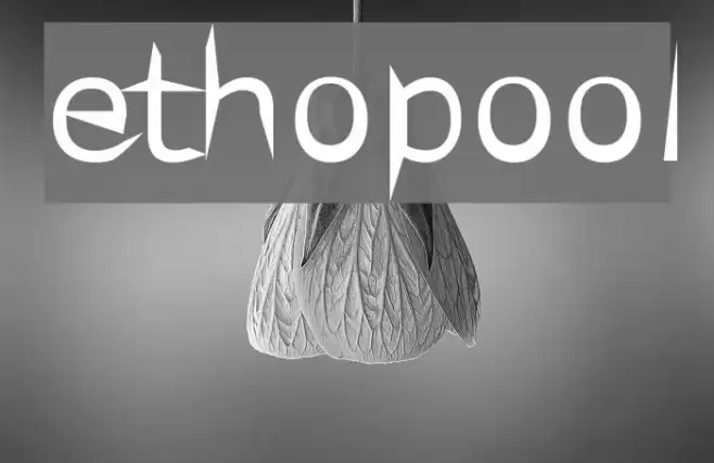 ethopool Example 2