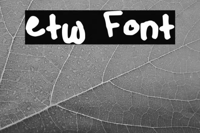 etw フォント examples