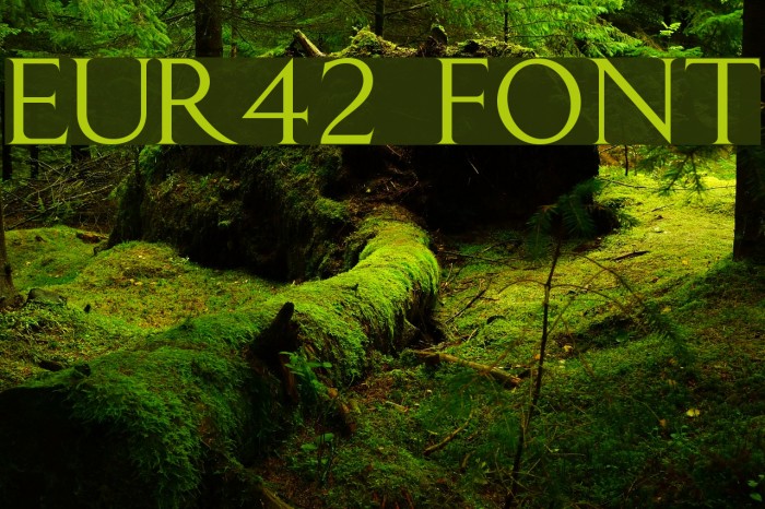 EUR42 Font examples