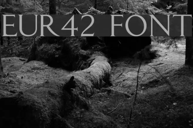 EUR42 Example 1