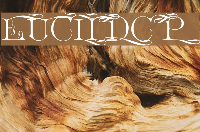 EuclidCP Font examples
