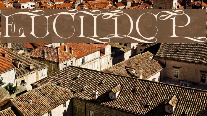 EuclidCP Font examples