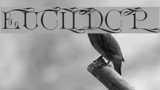 EuclidCP Шрифта examples